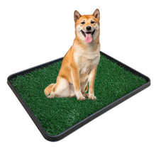 Load image into Gallery viewer, Artificial Grass Pets Potty Pad with Tray
